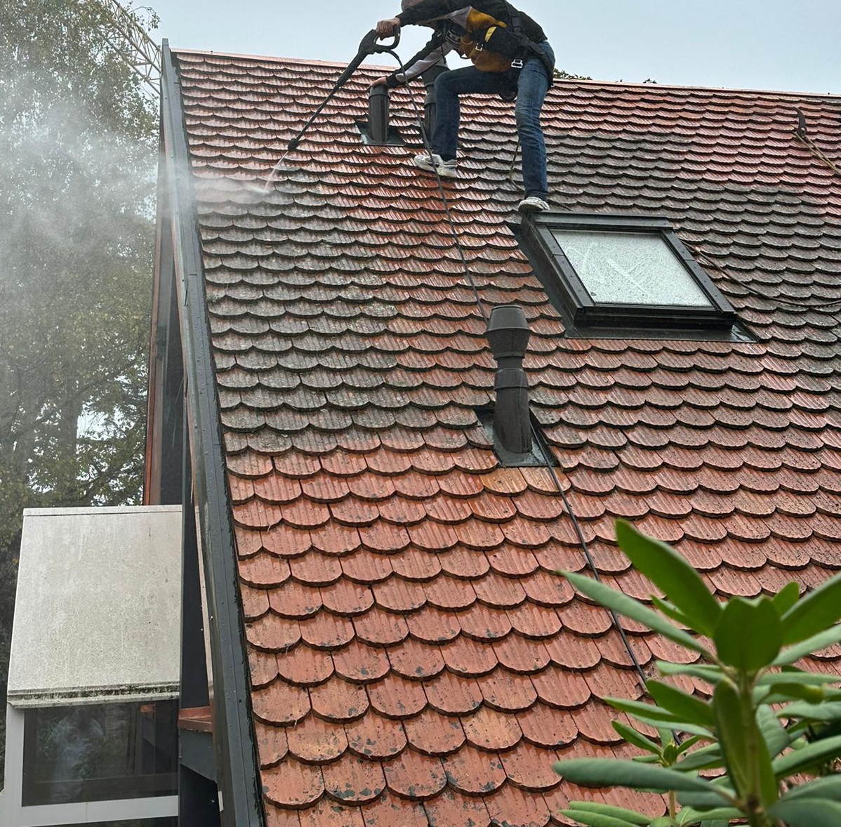 Démoussage d'une toiture autour d'un Velux