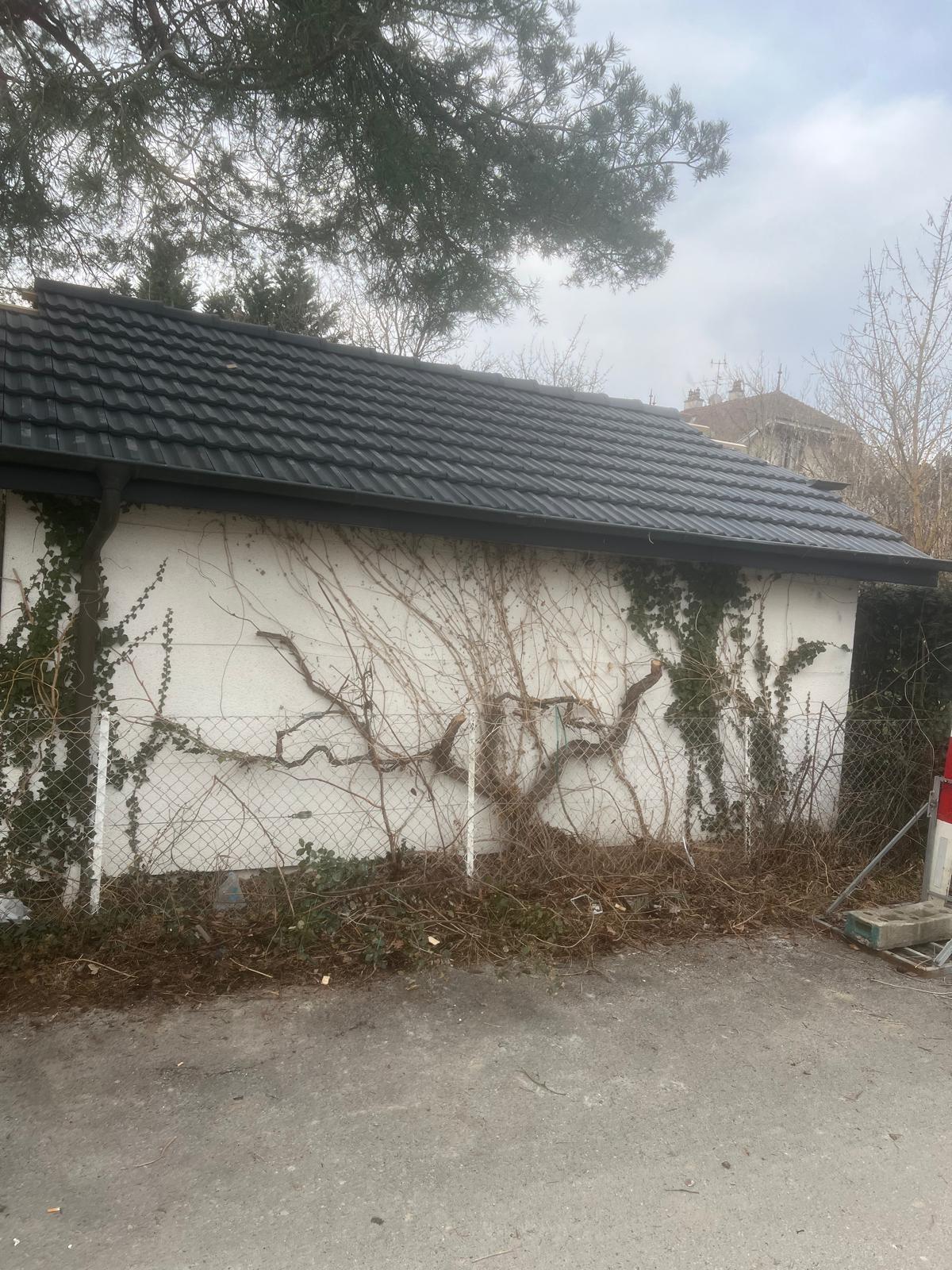 Toiture neuve avec ferblanterie en bordure